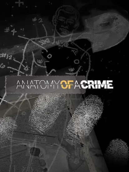 Anatomy of a Crime TV series poster